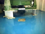 Paviemento epoxi en Sala Limpia pavimentos epoxi sala limpia